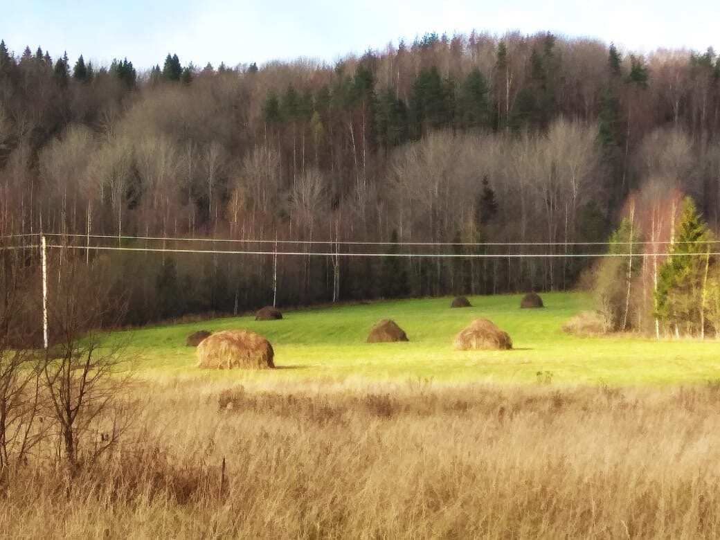 Вепсский лес. Путешествие по старинным деревням реки Оять (5/46)