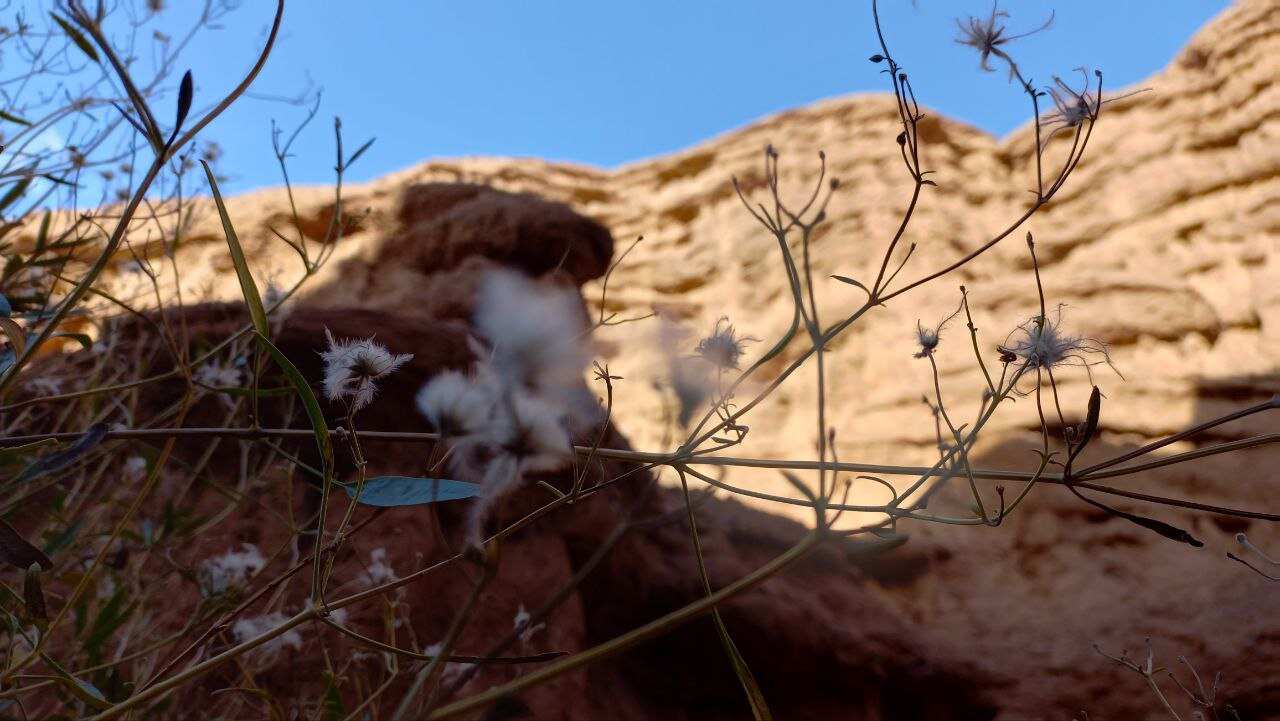 Захватывающее озеро Иссык-Куль и каньоны Кок-Мойнок (4/20)