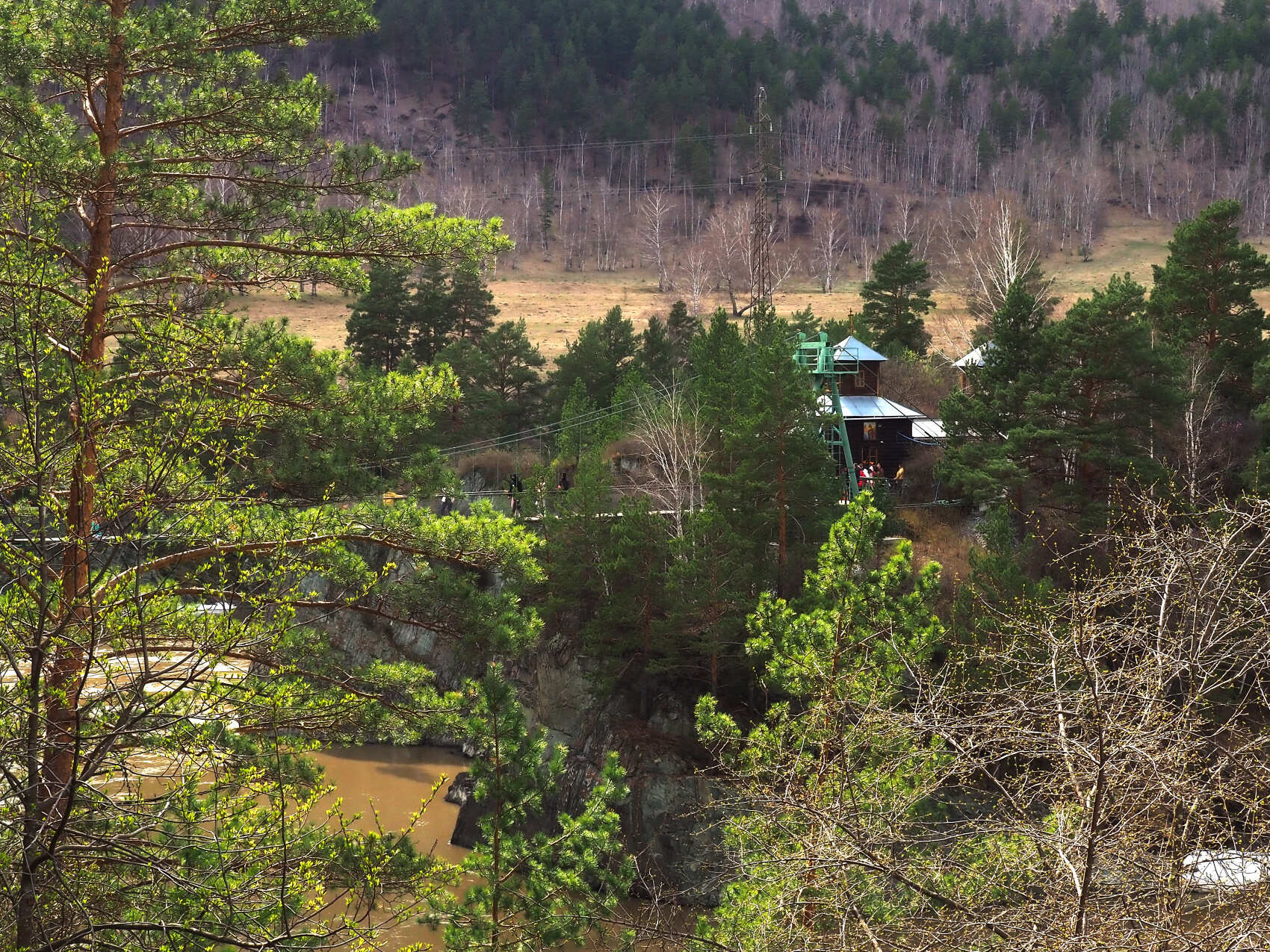 Весенний Алтай. Когда цветёт Маральник / 6 дней (33/45)