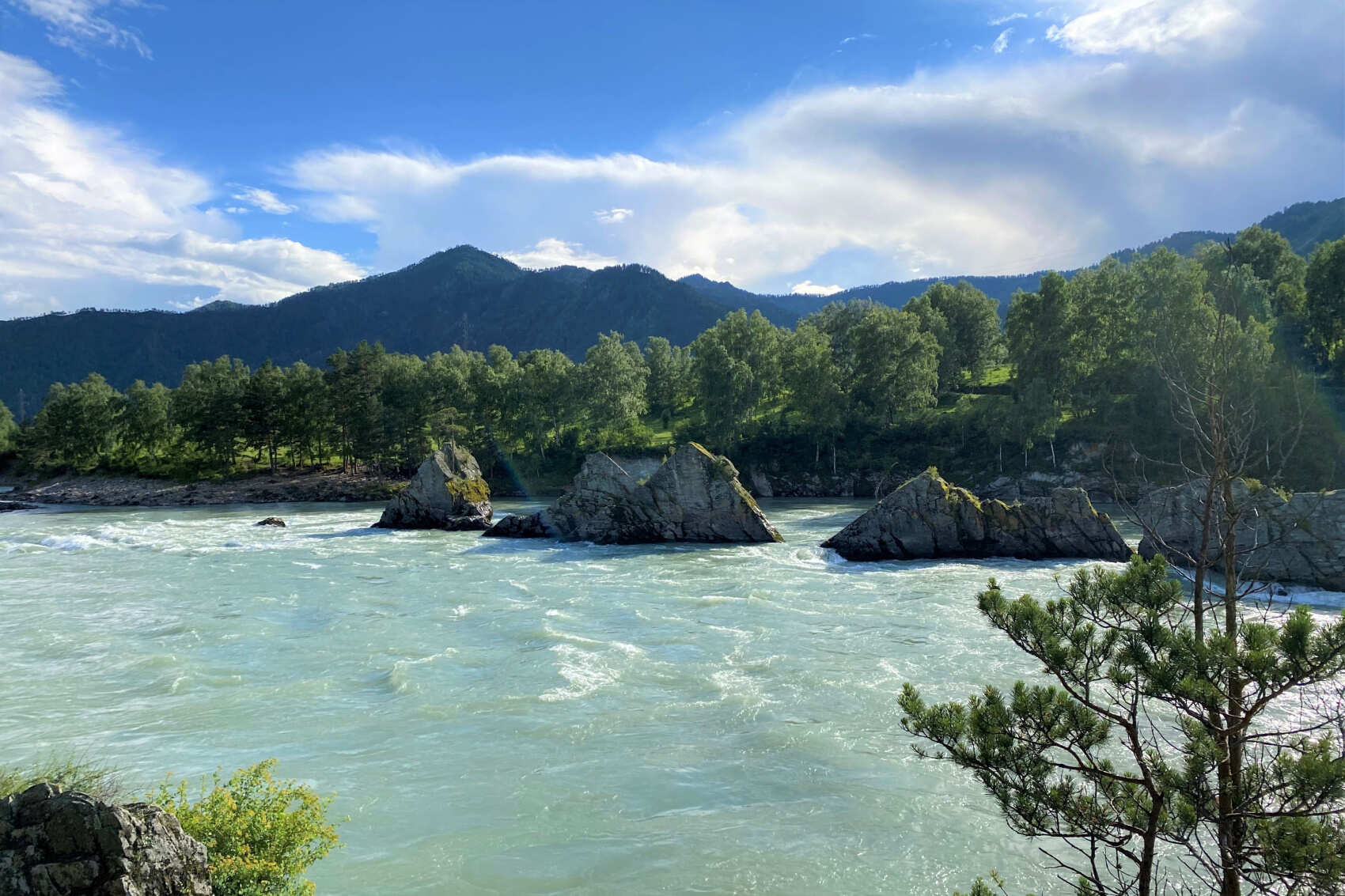  Комфорт-тур по Алтаю: яркое лето 2026 (6/48)