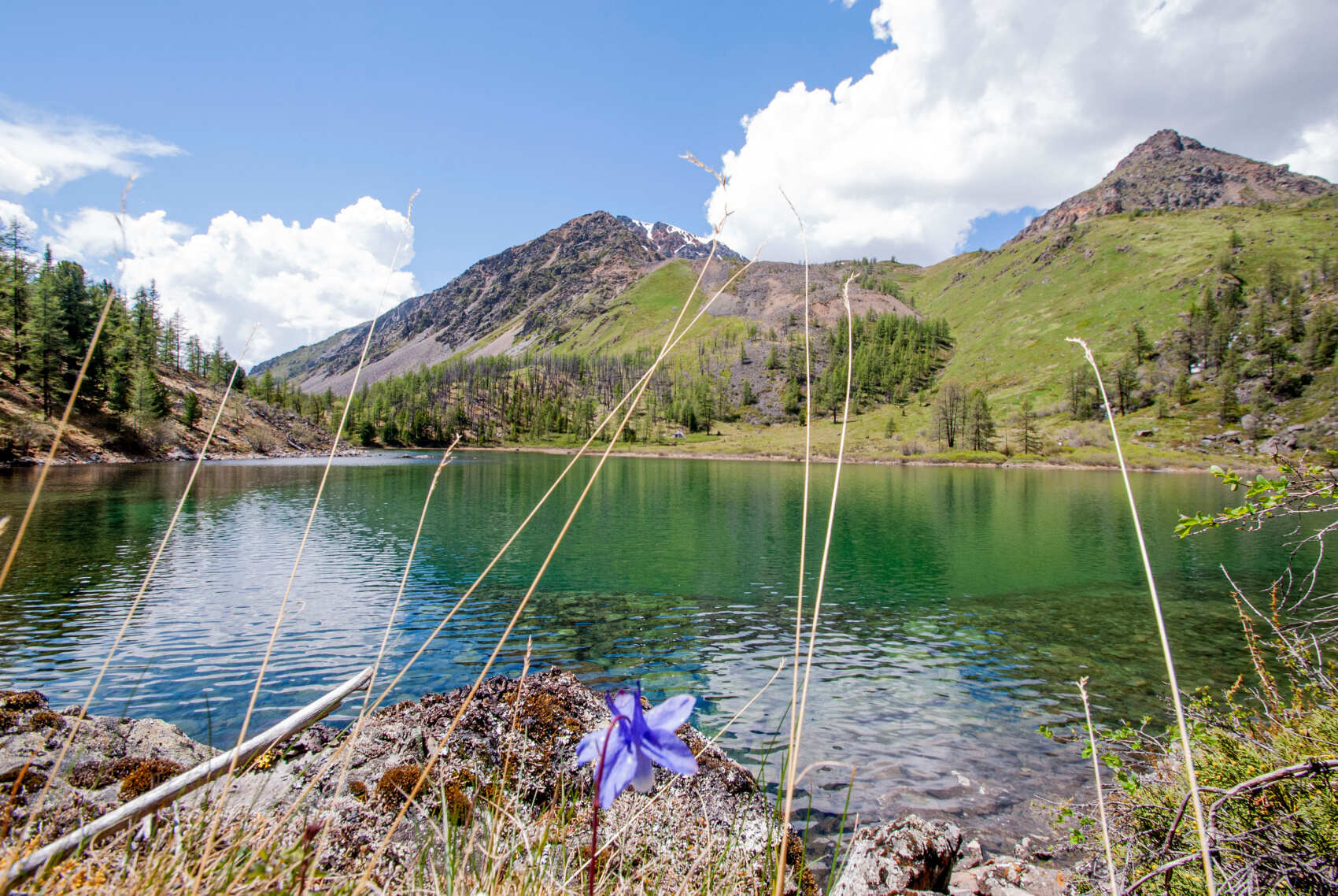 Актив-тур +: конные прогулки, сплав, трекинг, Чуйский тракт! (11/43)