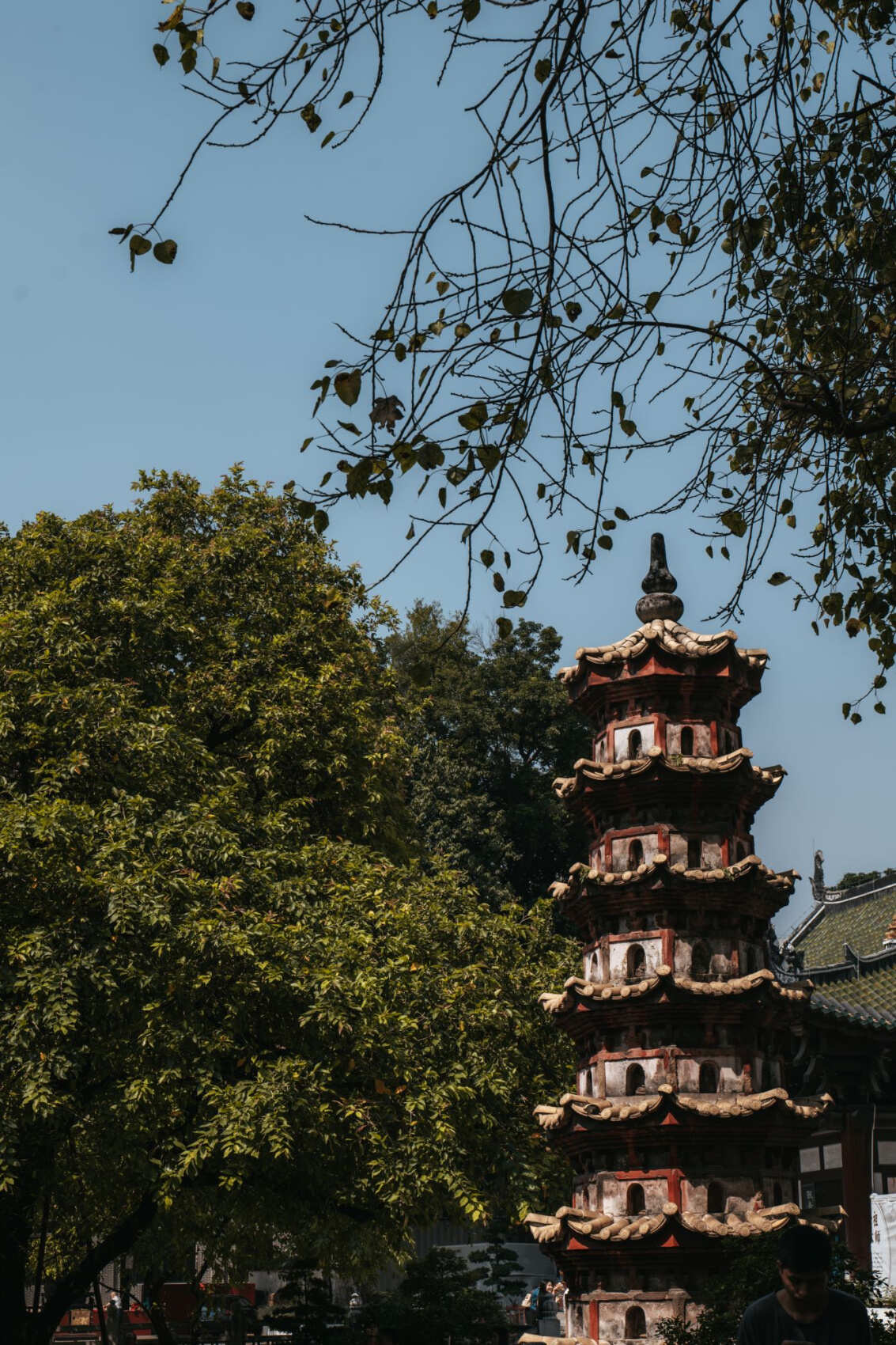 Китай.Поднебесная без границ (10/88)