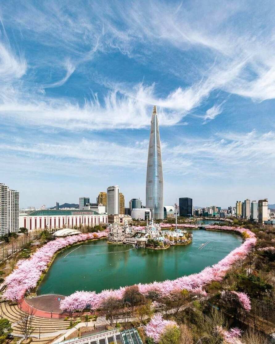 Южная Корея: полное погружение (6/52)