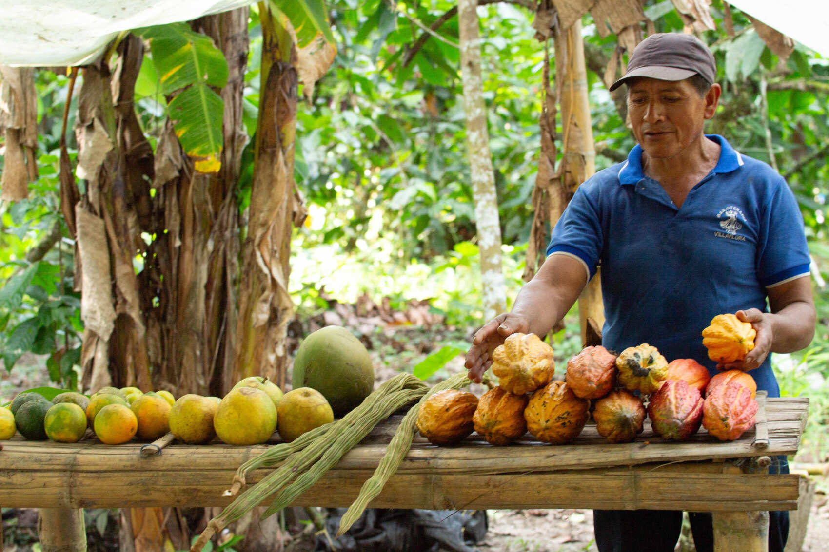 5-дневная экспедиция по Амазонке в Напо (6/23)