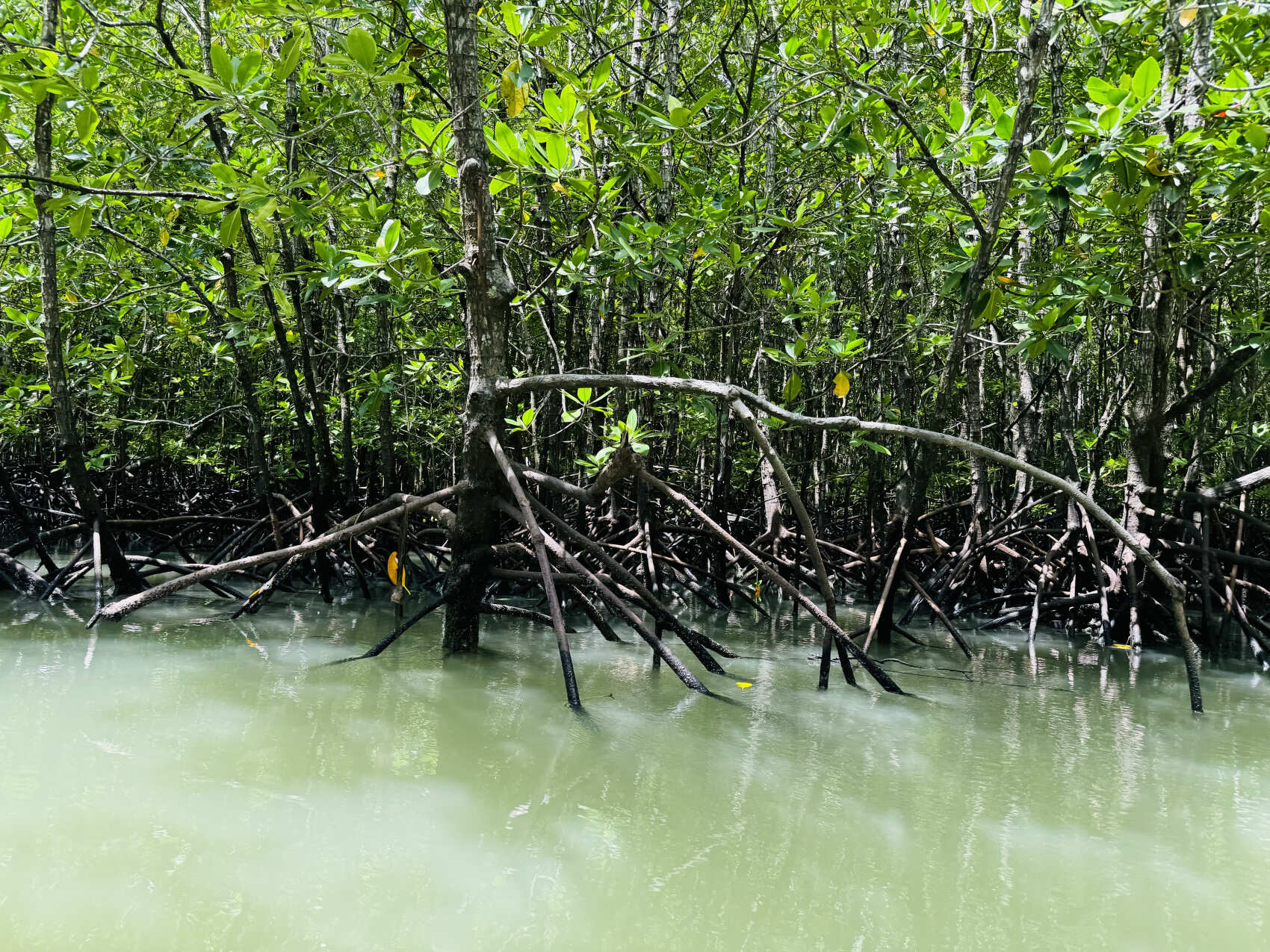 Таиланд за восемь экспедиций. Семь провинций Королевства Таиланд (21/113)