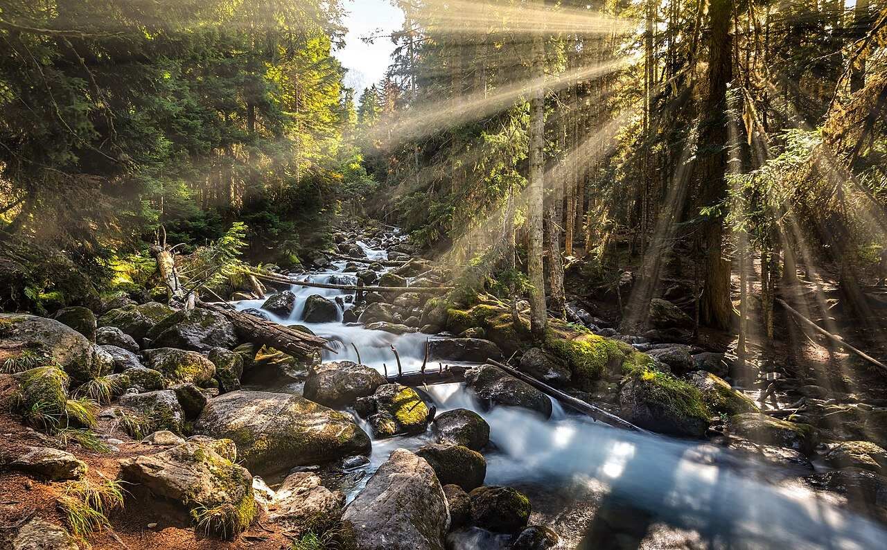 Домбай. Индивидуальный тур из Кисловодска, Пятигорск, Ессентуков и Мин-Вод (5/19)