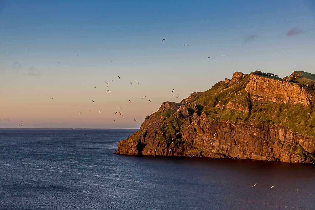 Весь Шикотан. Путешествие на другую планету (23/140)