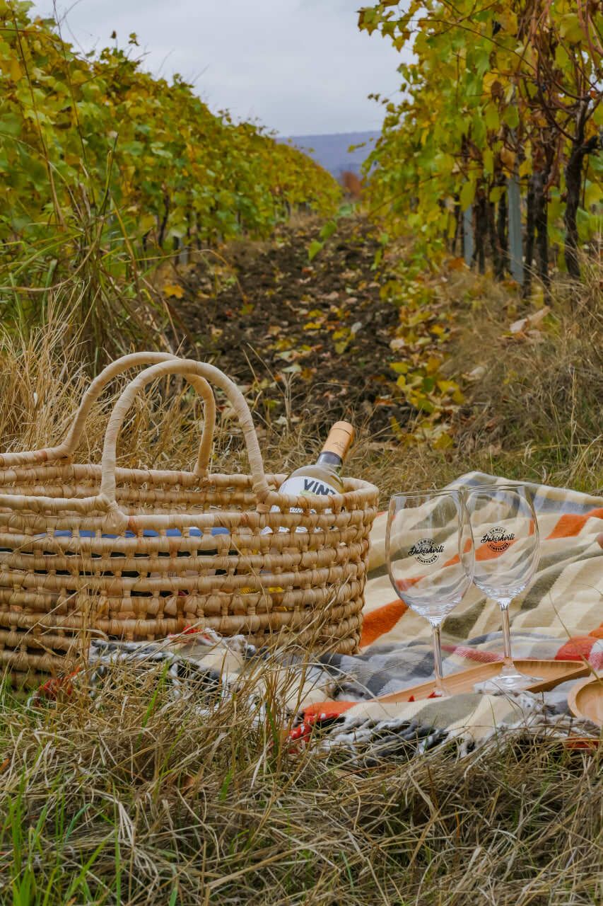 ГРУЗИЯ 2.0: ОТ КАХЕТИИ ДО АДЖАРИИ (5/40)