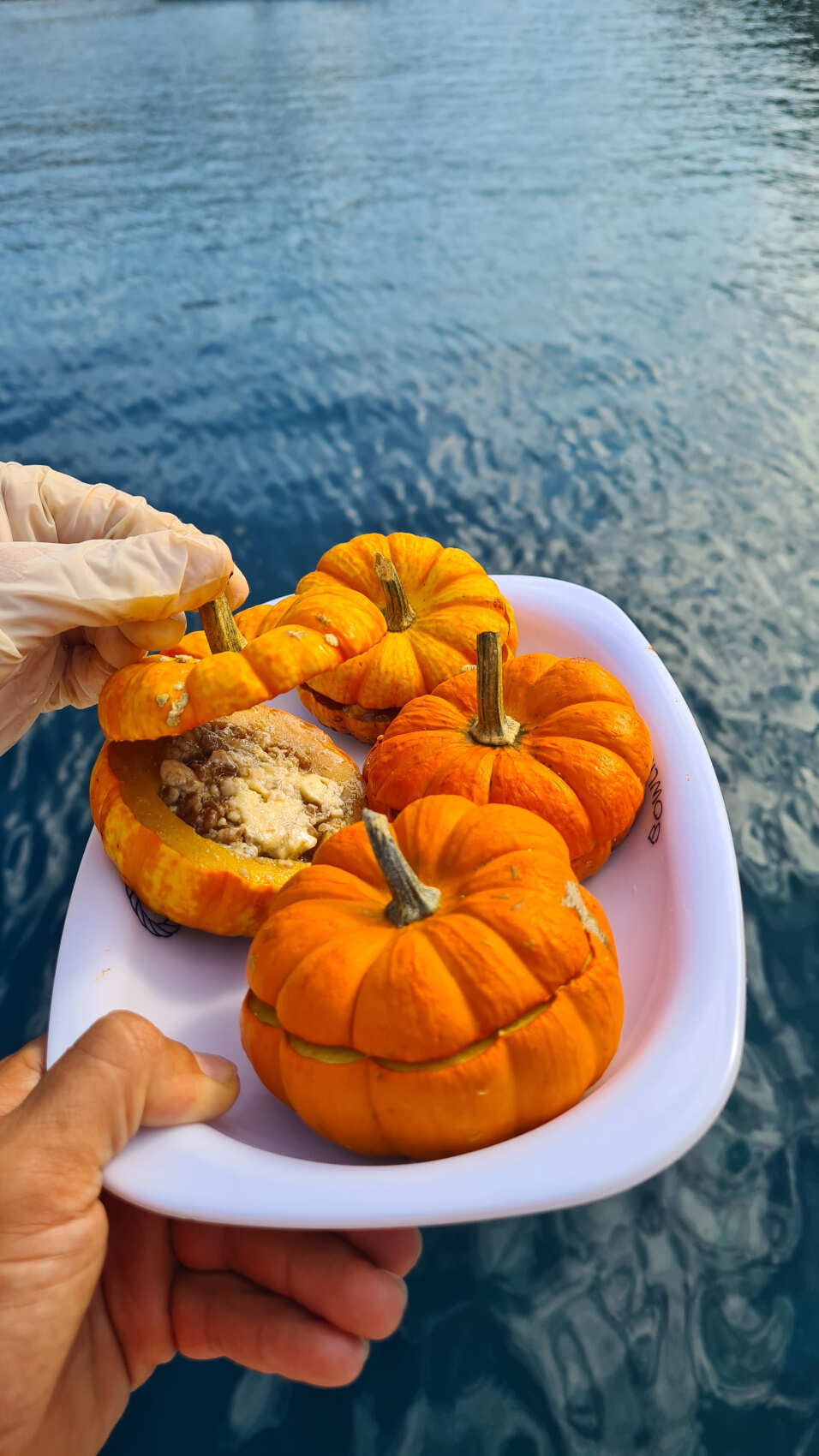 Турция на вкус: гастротур с традиционными блюдами (на Баварии из Финике) (3/62)