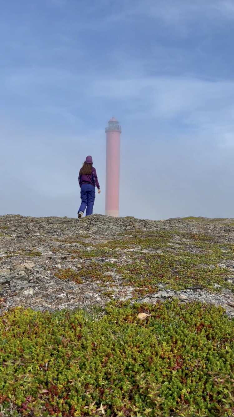 Рыбачий-Премиум 2.0: киты + джипинг + безлимит морепродуктов (по запросу, для готовых групп) (21/31)