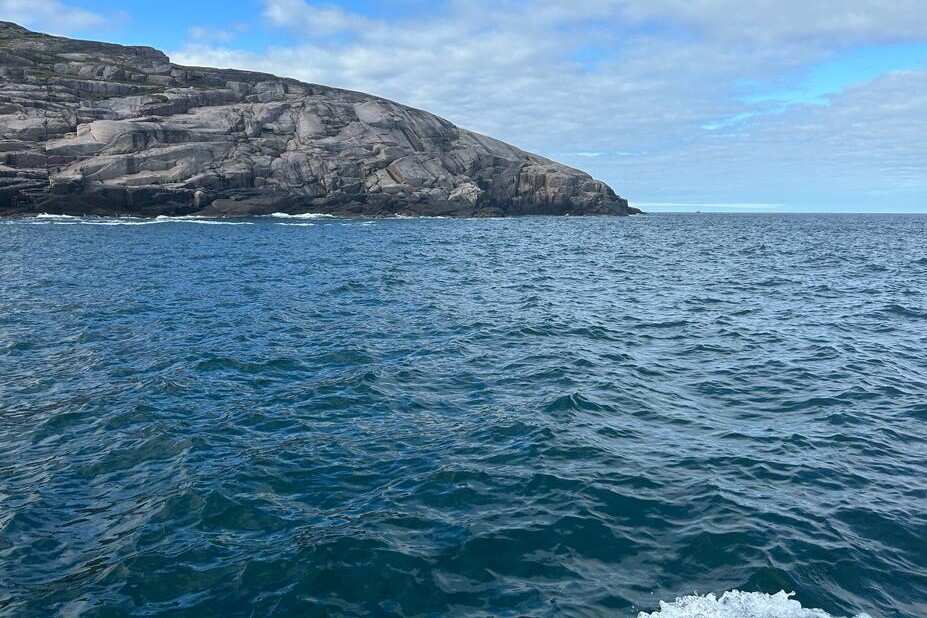 На китов в Териберку + Мурманск! (группа до 8 чел.) (13/38)