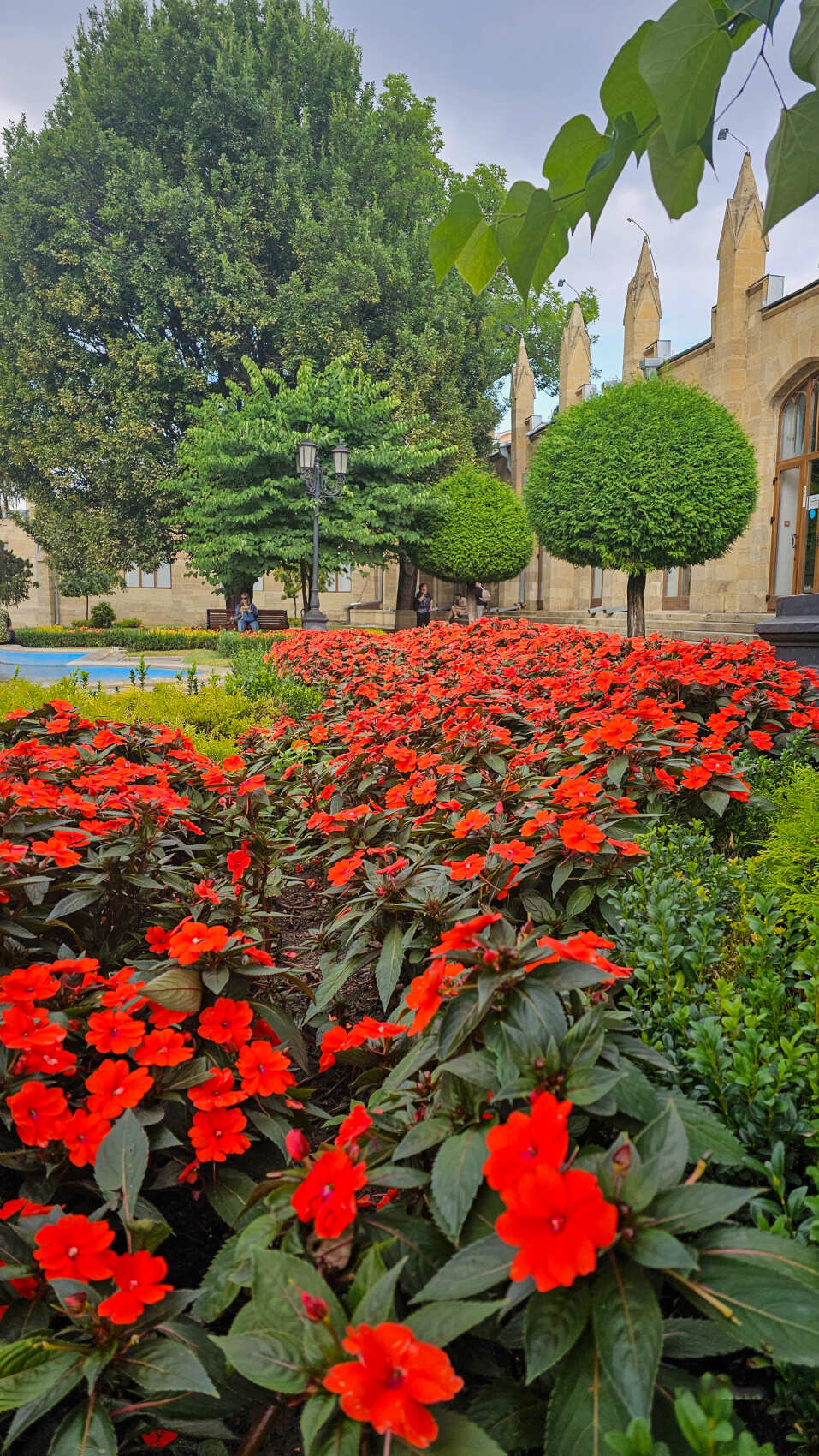 Северная Осетия. Горная любовь (из Минвод + Кисловодск) (82/121)