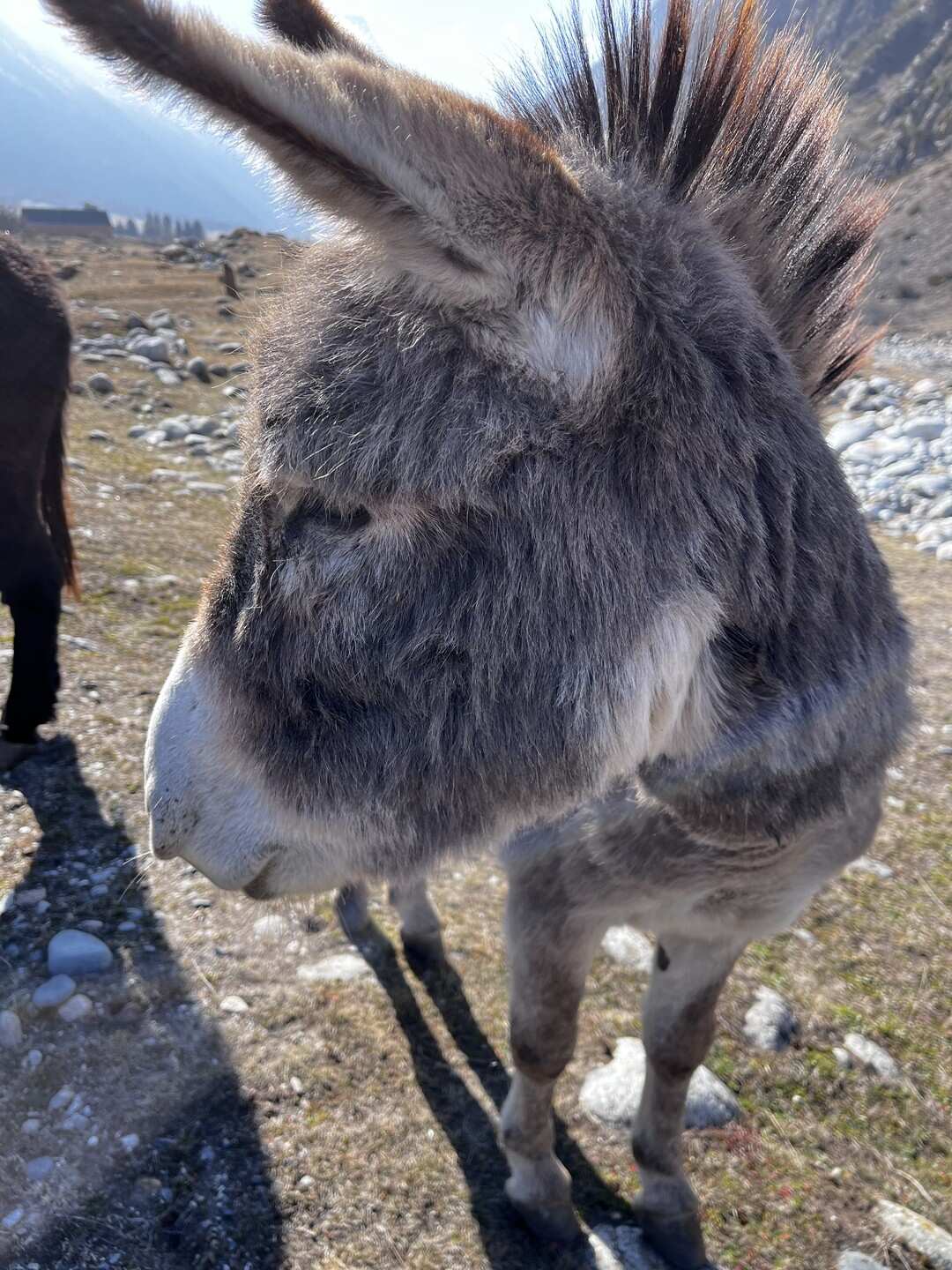 Кабардино-Балкария: Тайны Гор и Долин. Из Владикавказа (41/73)