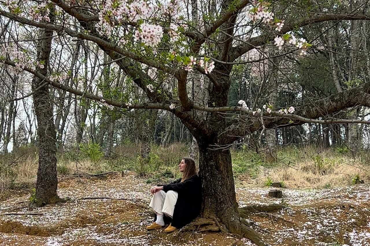 Китай. Цветение Сакуры и национальные парки. Мудрость Веков. (18/60)