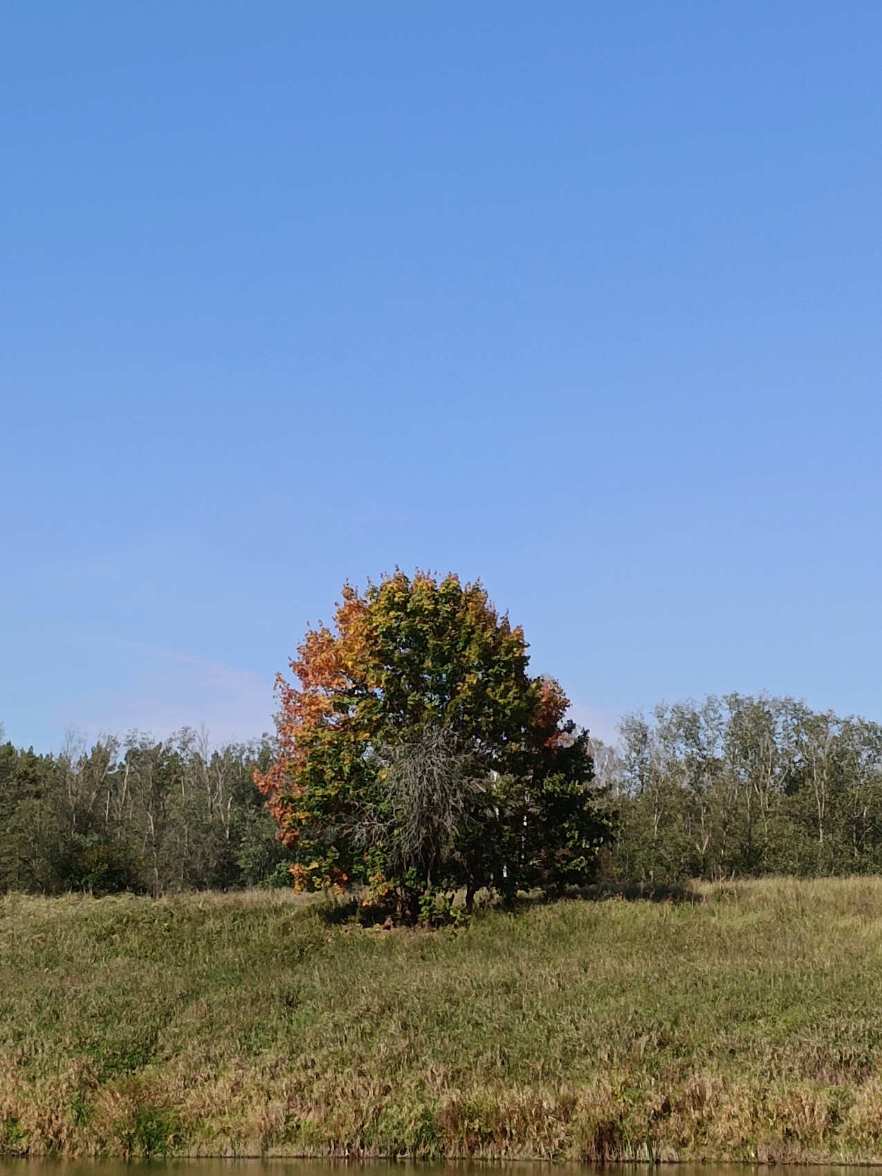 Сплав на байдарках по реке Угра (Калужская обл.) (4/7)