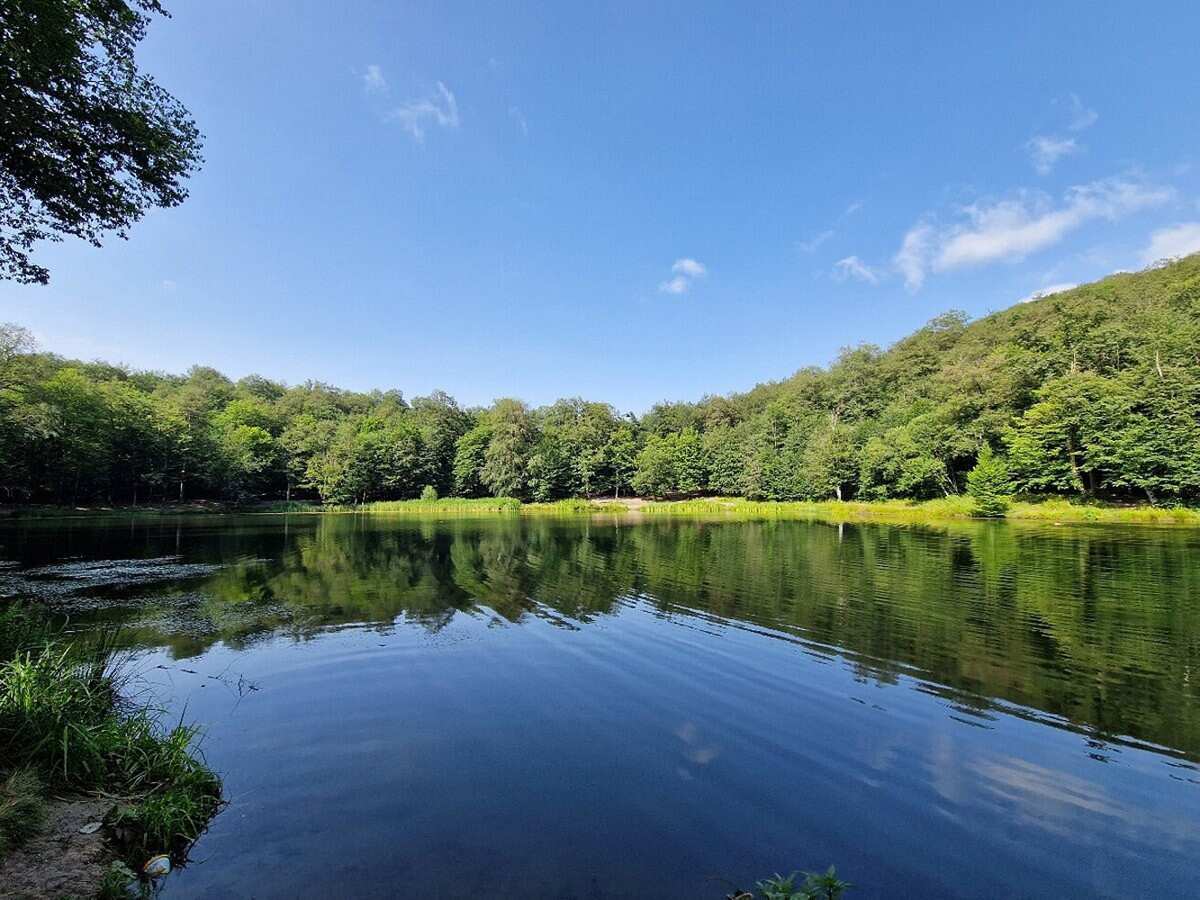 Пешая экскурсия по Дилижанскому национальному парку (15/20)