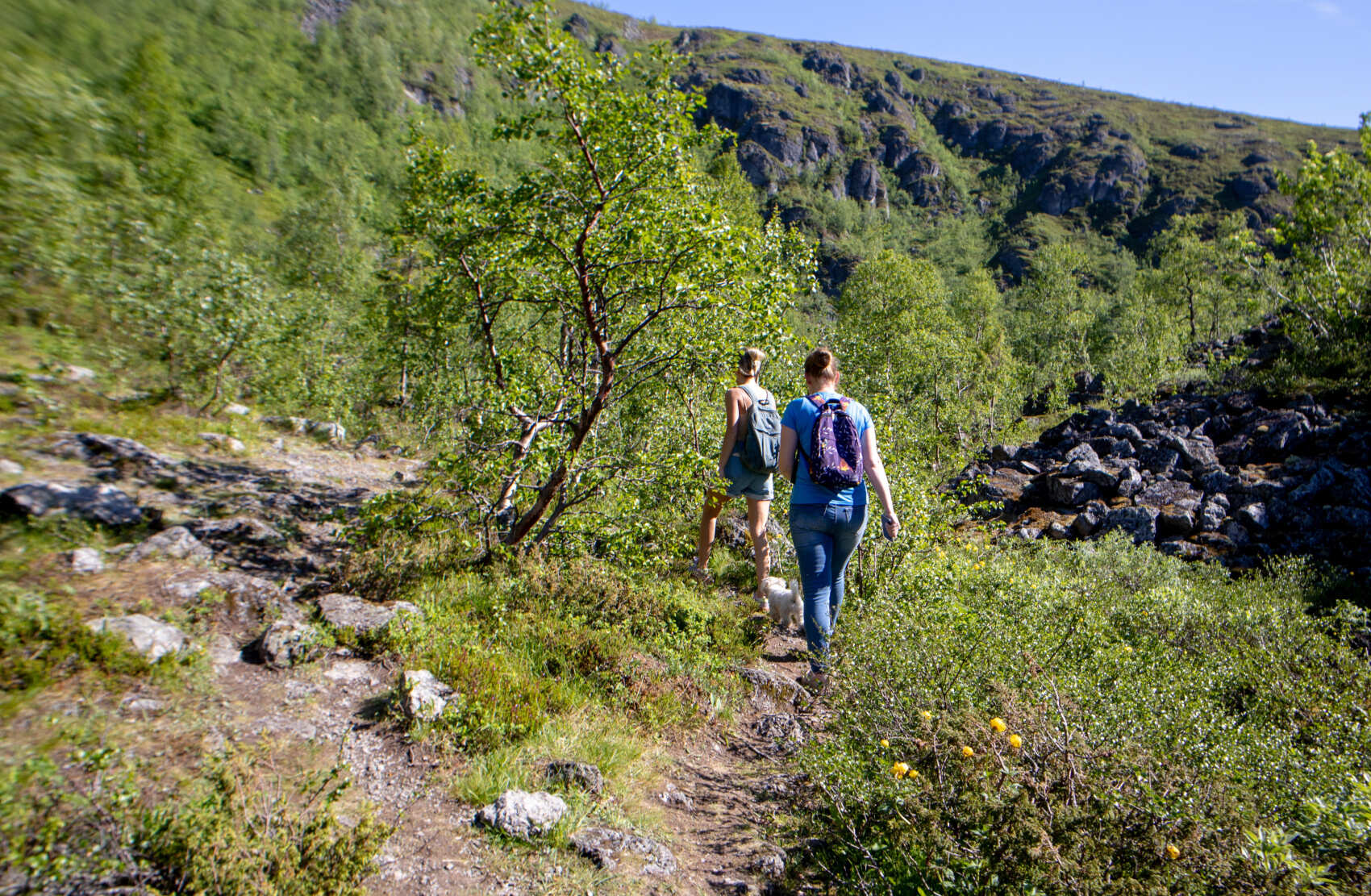 3 в 1: Мурманск-Териберка-Кировск (23/25)