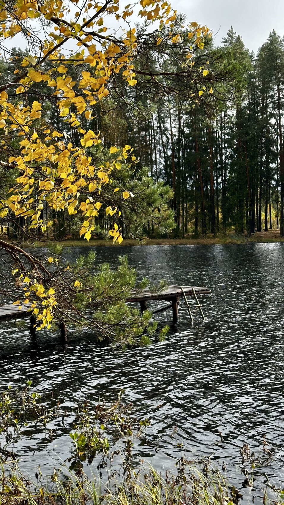 Пеший поход в Озерный край (7/8)