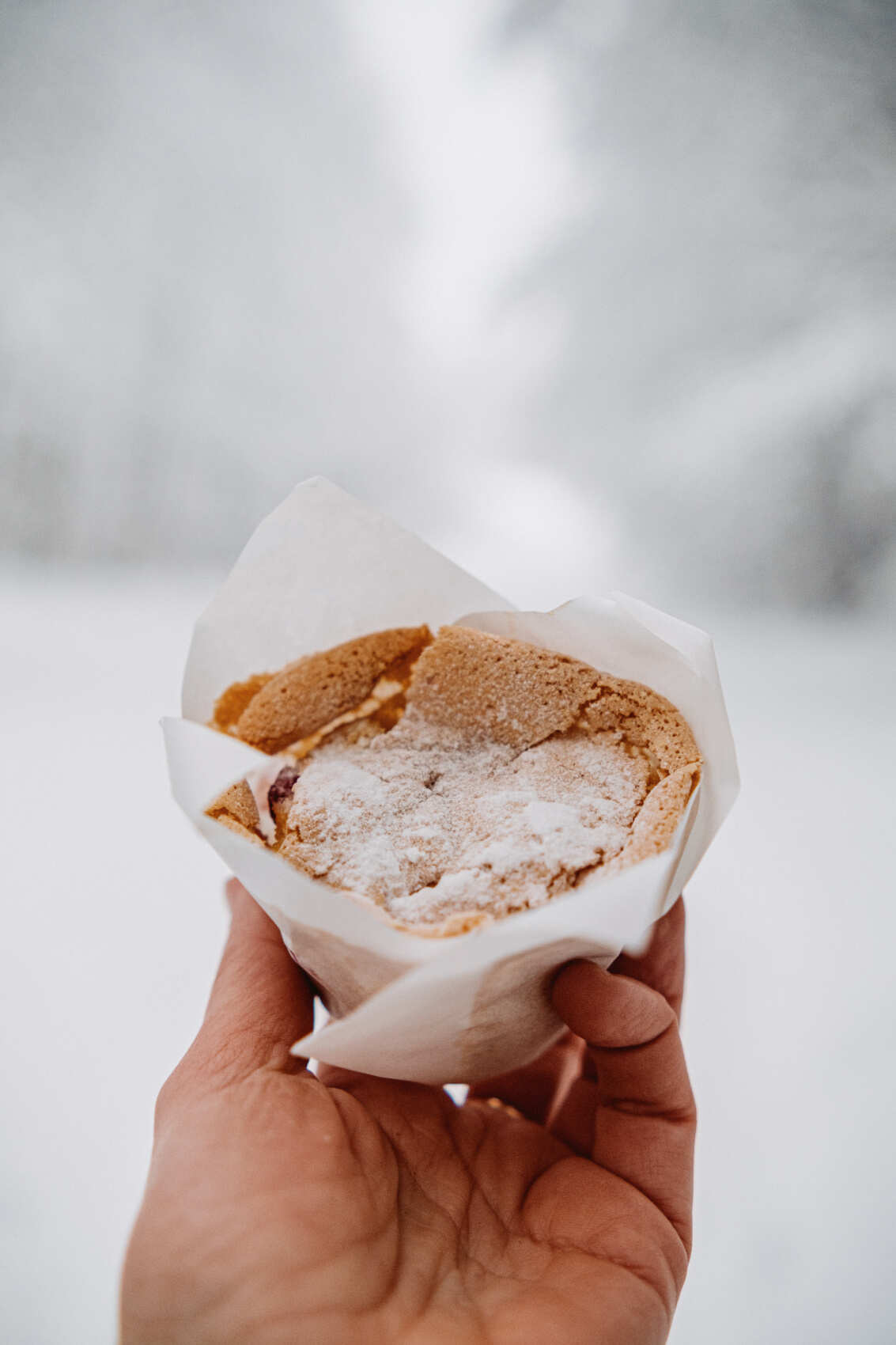 Лыжные тренировки в Санкт-Петербурге. Базовый уровень (21/28)