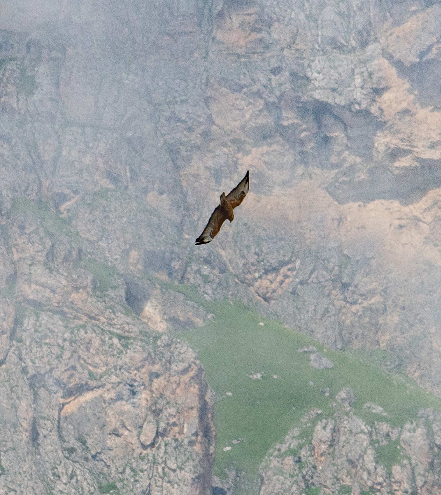 Северная Осетия и Кабардино-Балкария