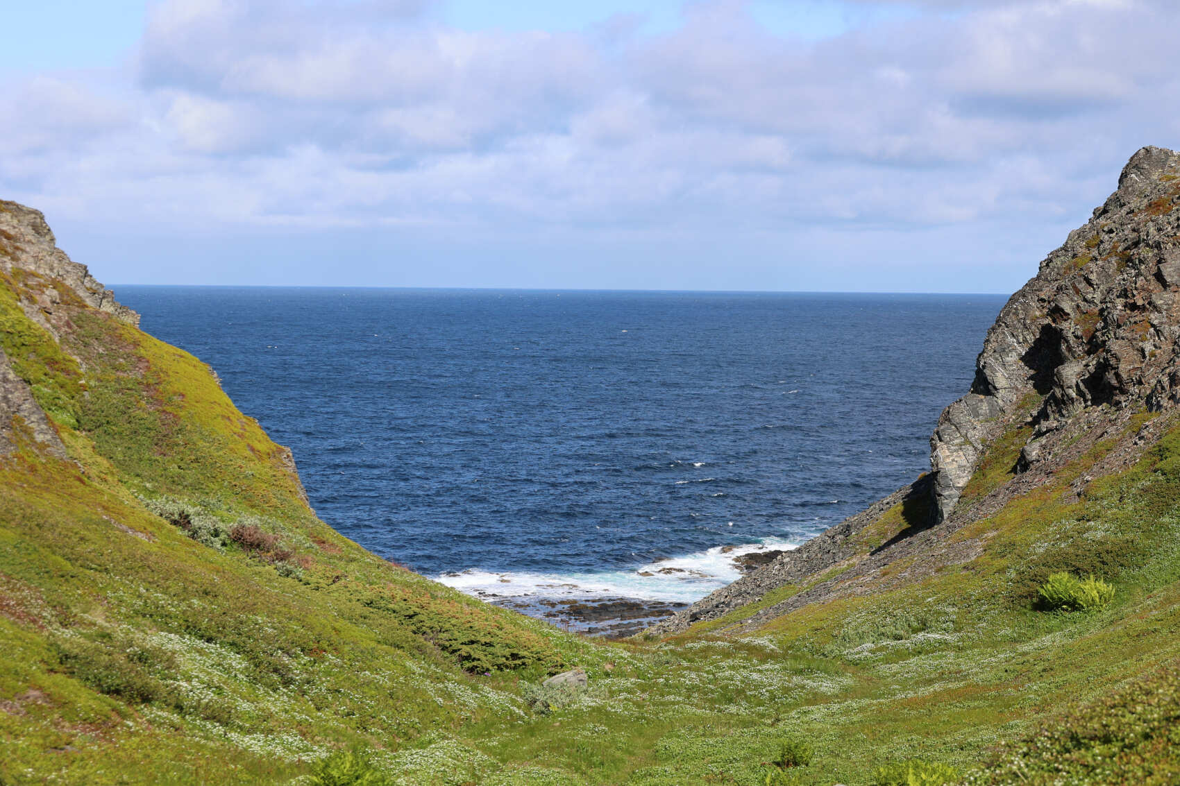 Рыбачий-Премиум 2.0: киты + джипинг + безлимит морепродуктов (по запросу, для готовых групп) (5/31)