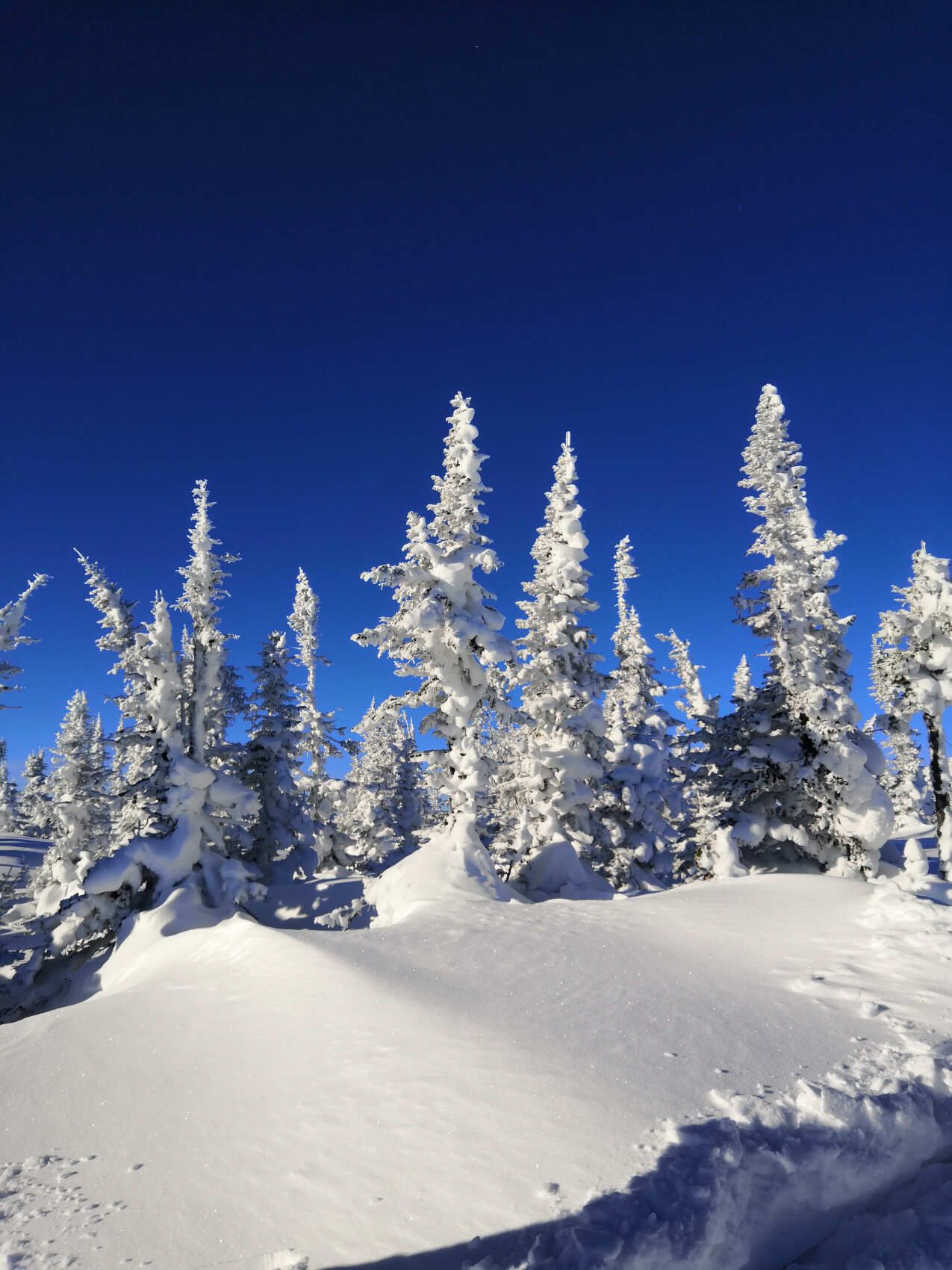 Тиндер тур в Шерегеш: в пещеры на снегоходах, фрирайд, парапланы (17/100)