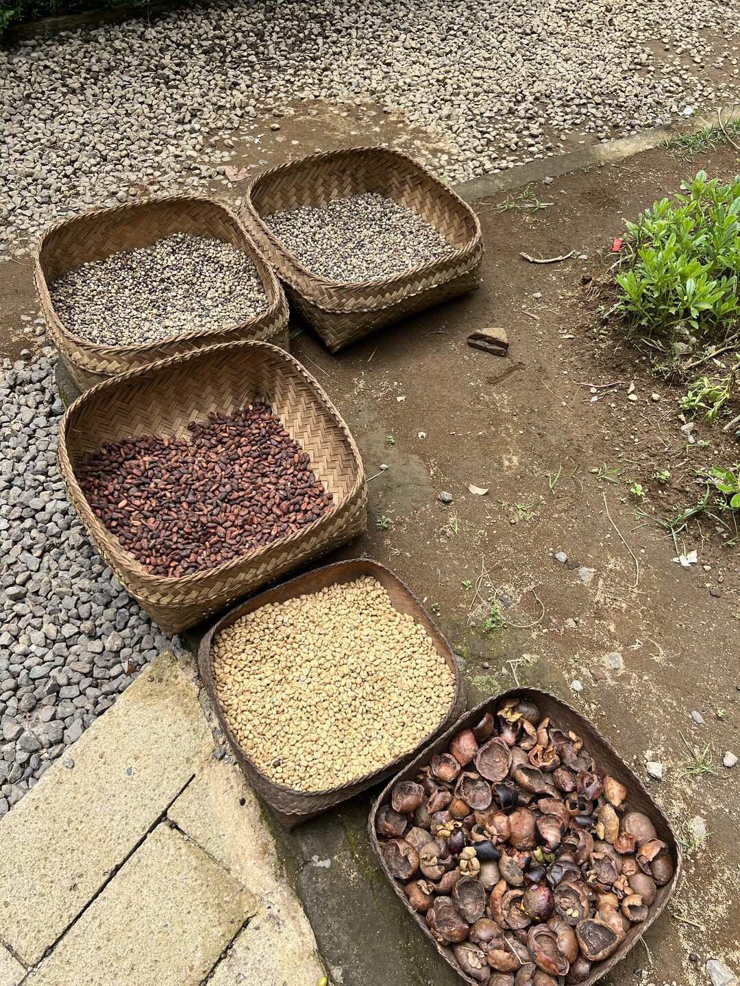 Бали, который вы ждёте! (10/89)