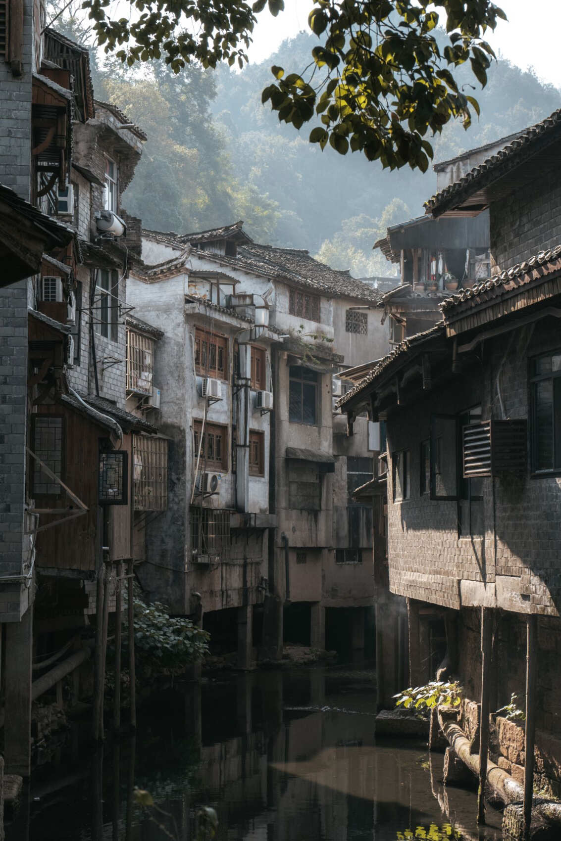 Китай.Поднебесная без границ (12/88)