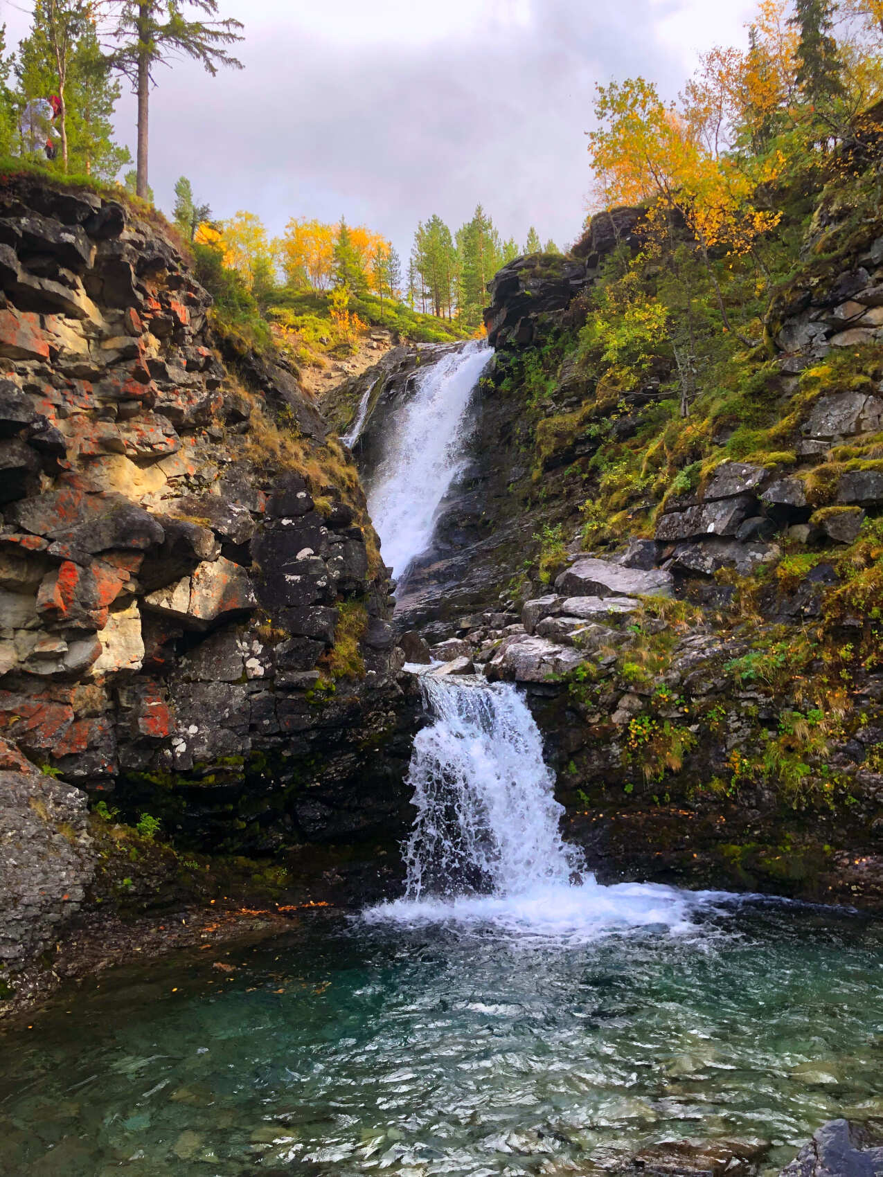 Большой Кольский: Мурманск, Териберка, Ловозеро, этнодеревня, Кировск (18/50)