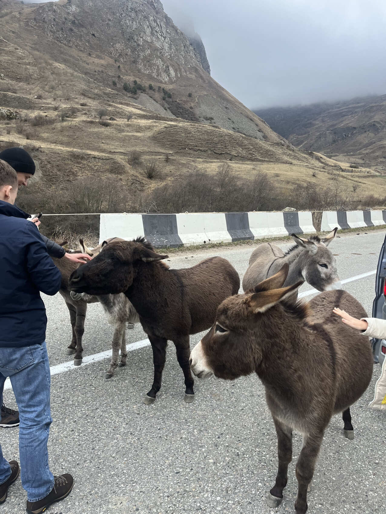 Верхняя Балкария  +замок Шато Эркен +Язык Тролля из Ессентуков (9/24)