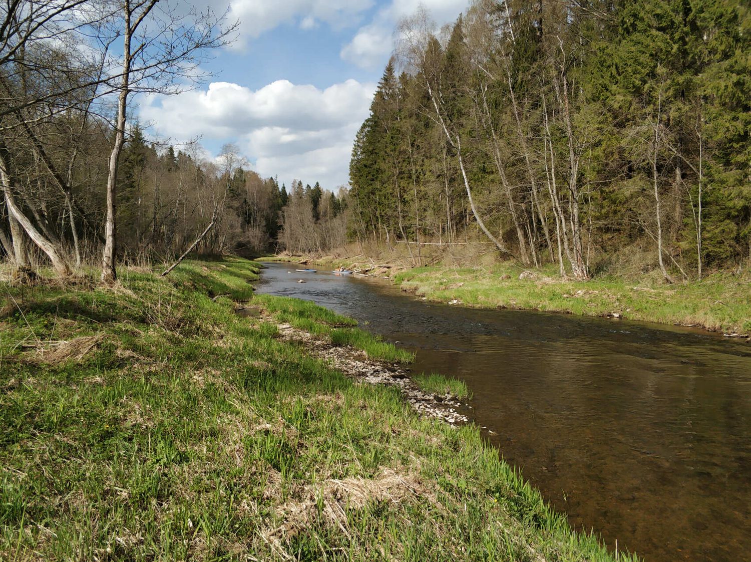 Сплав на SUP бордах по реке Нерская (1 день) (6/7)