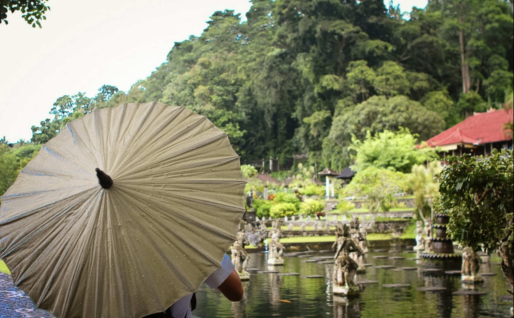 Фото-девичник на Бали за 10 дней (37/167)