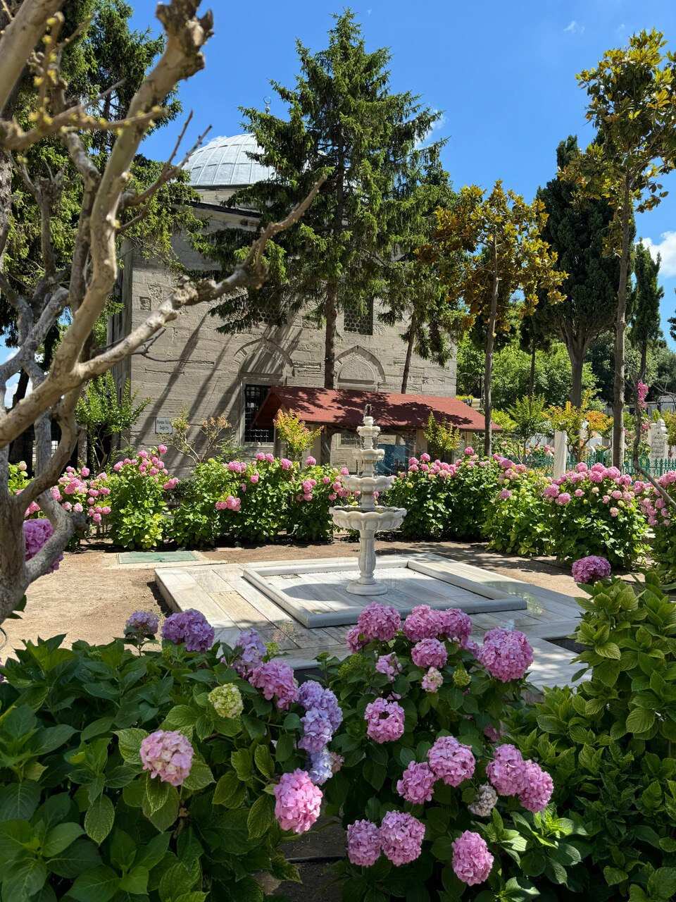 Стамбул: Великолепный Век и Принцевы Острова (47/66)