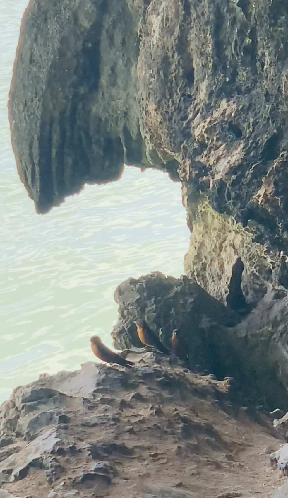 Долина зоолитов. Пещерная экзотика (10/47)