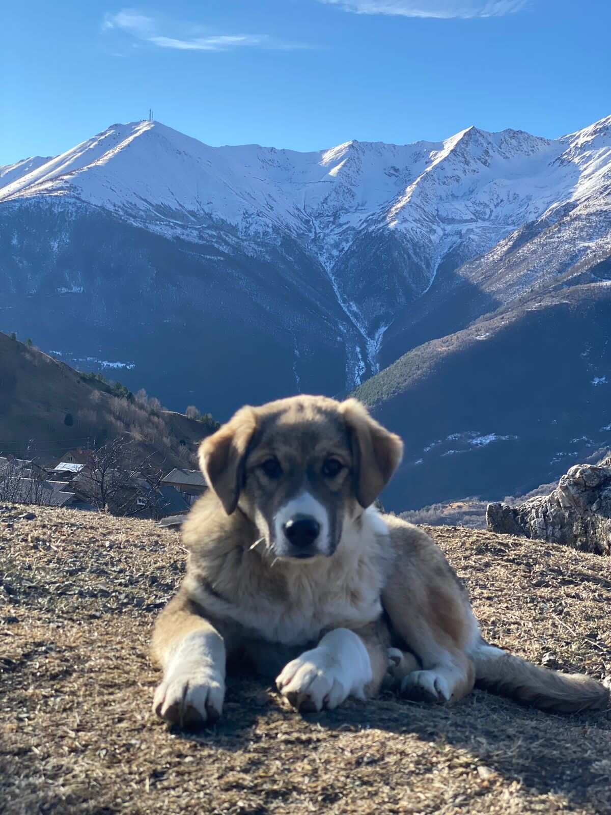 Осетия на Максималках (25/68)