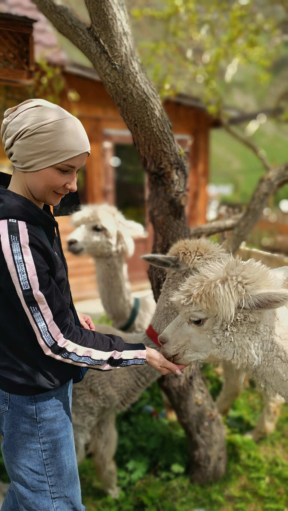 Индивидуальная поездка на ферму альпак — День с плюшевыми милашками (15/18)