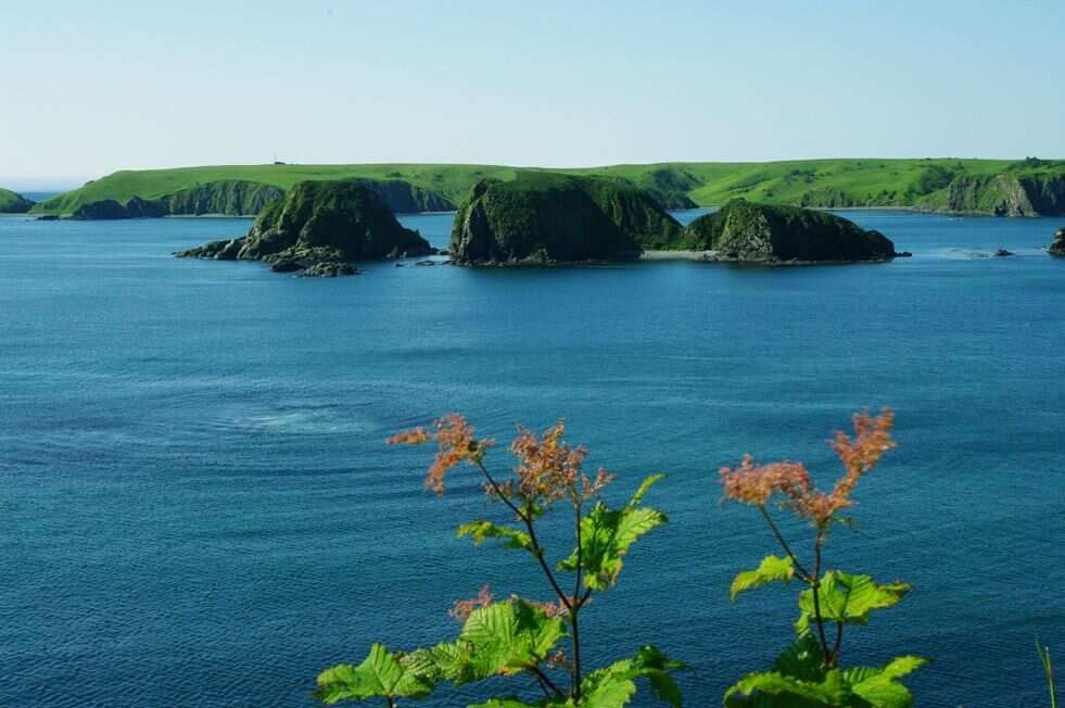 Тур на Курилы ( о.Шикотан ) (6/20)