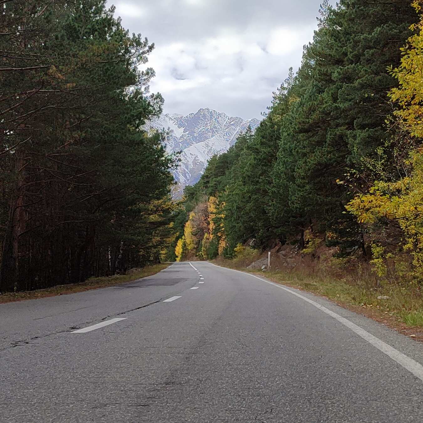 Цейская сказка (12/12)