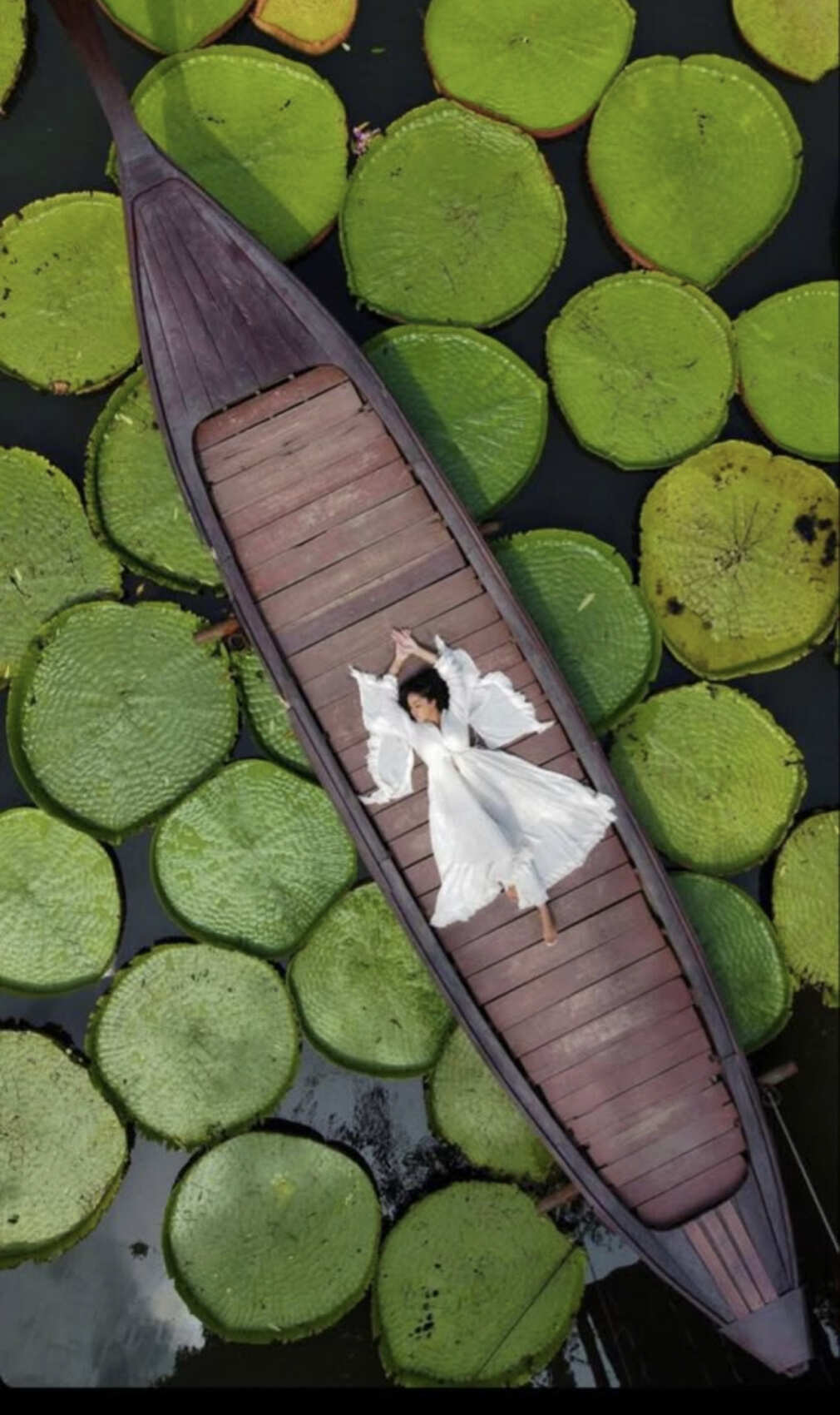 Thailand. All inclusive. (3/27)