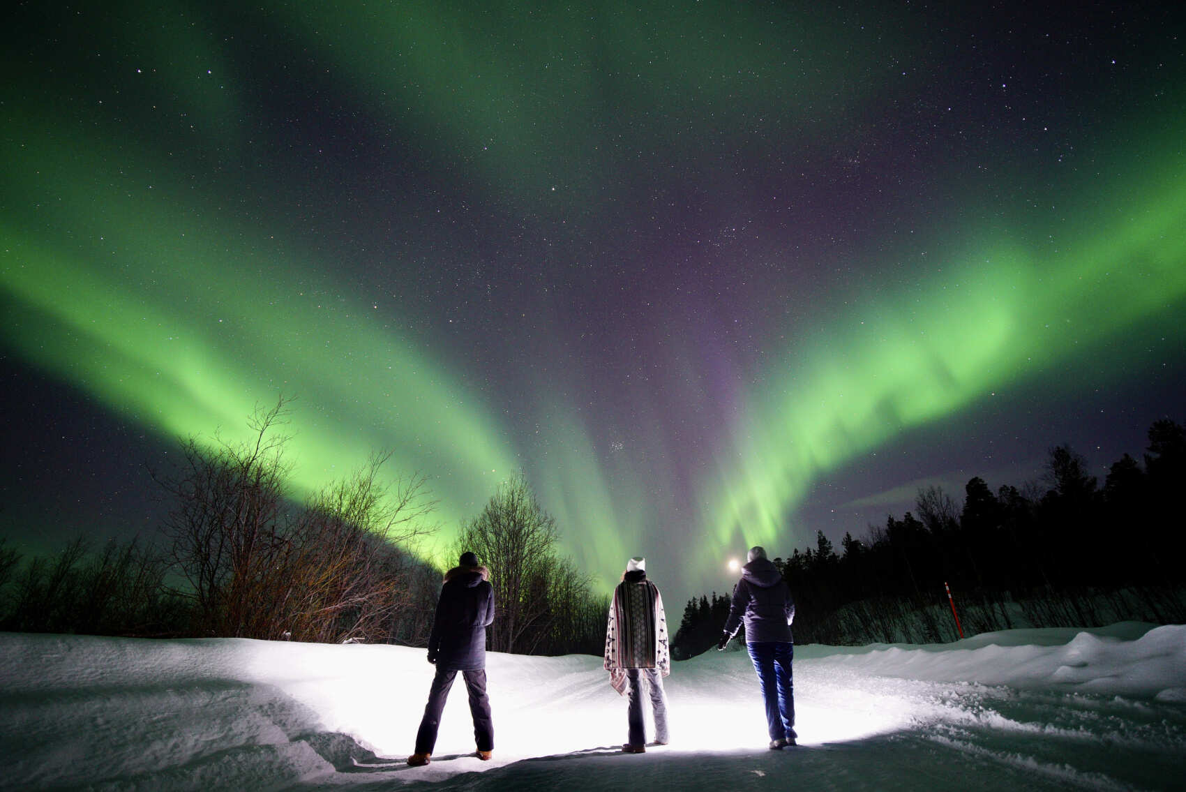 Сердце севера - Киты, сияние, Териберка (17/25)