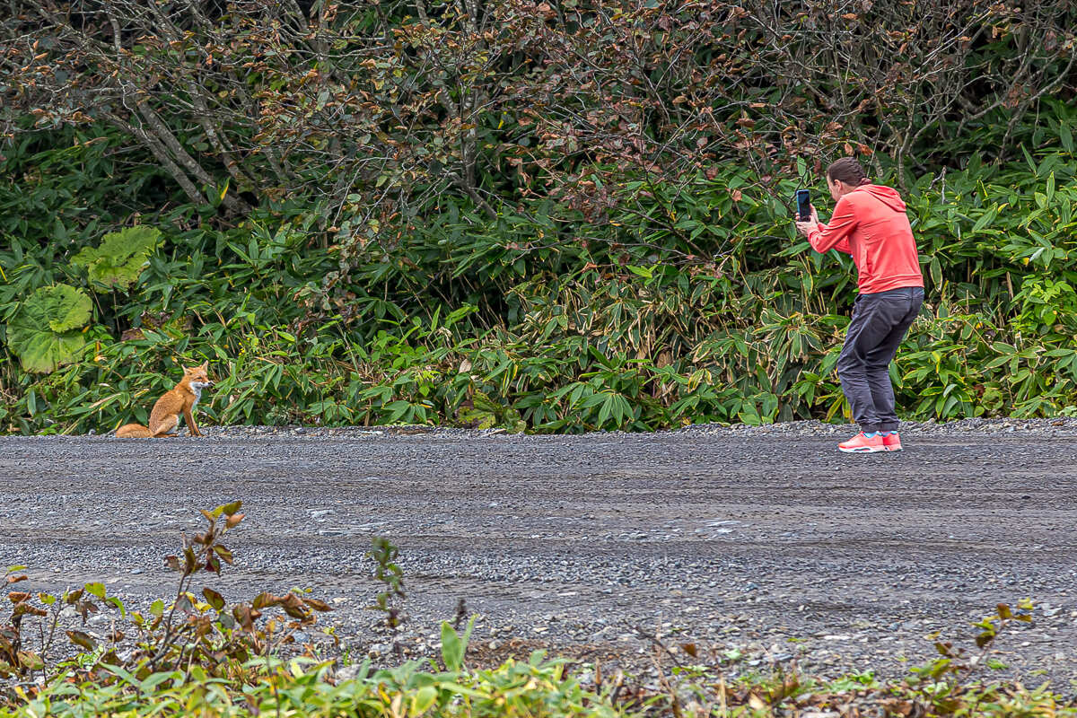 Сахалин, Итуруп, Шикотан и Кунашир с вулканом Тятя. Путешествие на другую планету (78/271)