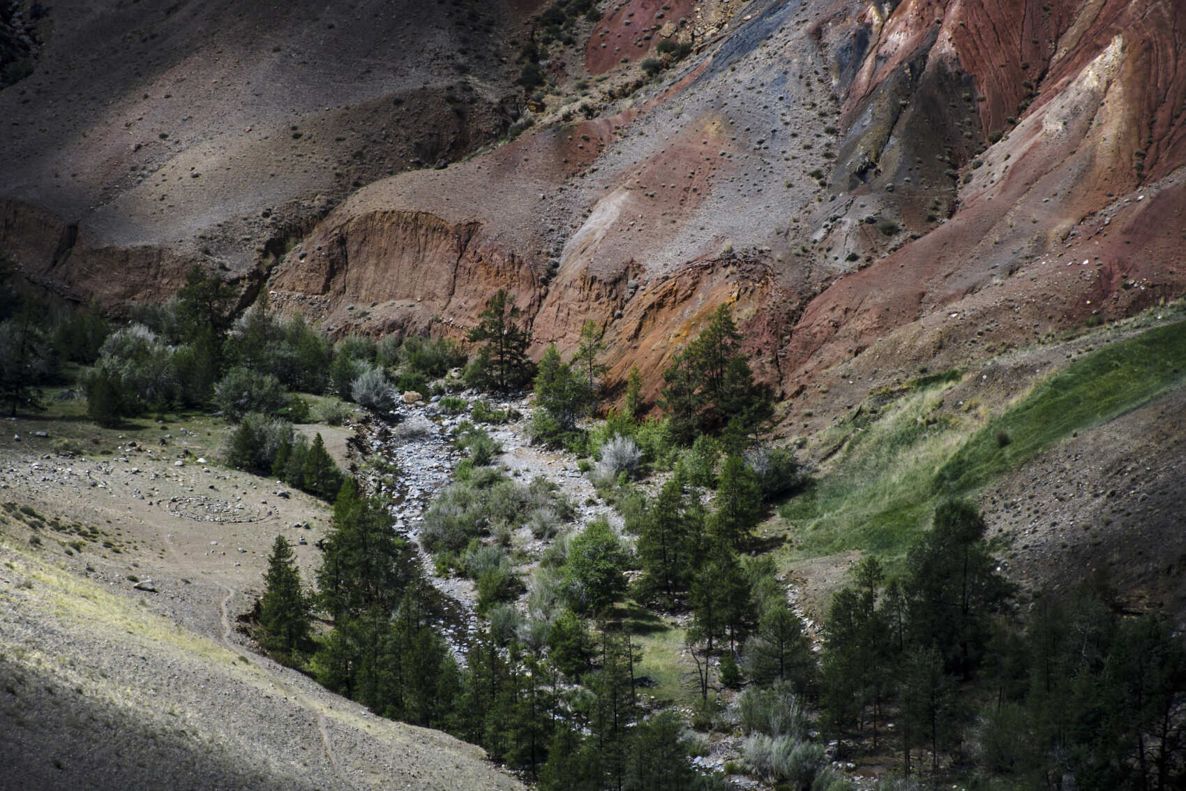 Алтайские дебри: тур с офф-роуд (3/25)