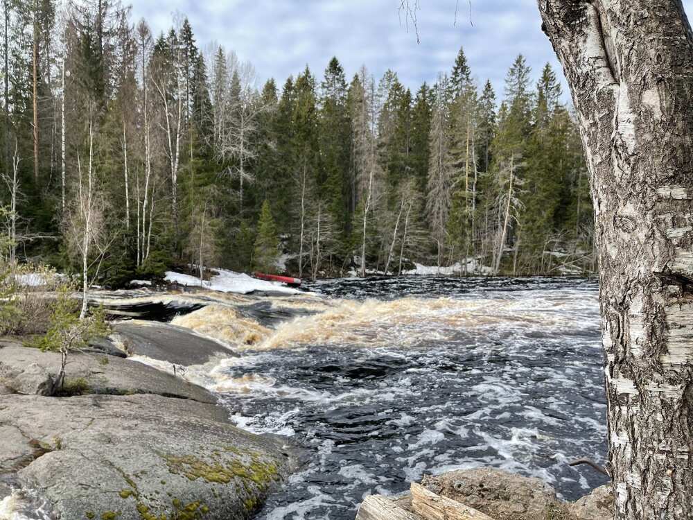 Экстремальный сплав по реке Уксунйоки (20/26)