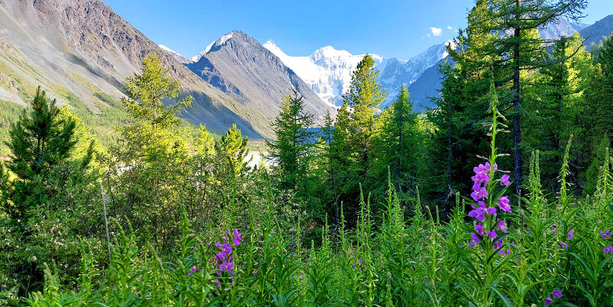 Поход на Алтай. Гора Белуха и Кучерлинские озера. Без рюкзаков. (18/68)