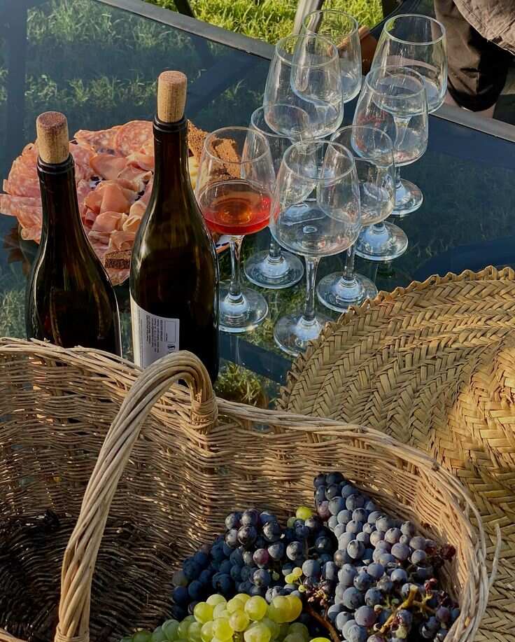 Кахетия на вкус: индивидуальное гастро-путешествие (8/8)