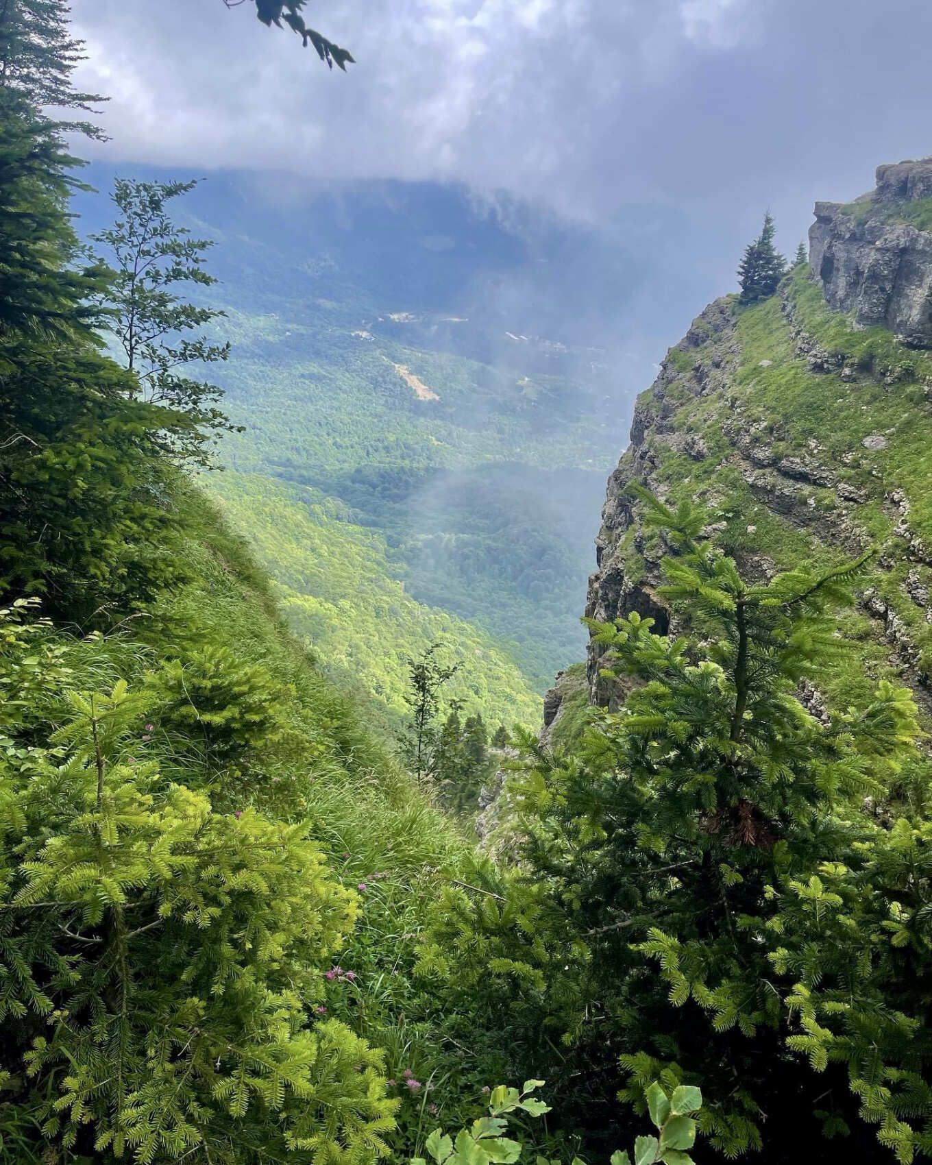 ГРУЗИЯ 2.0: ОТ КАХЕТИИ ДО АДЖАРИИ (19/40)