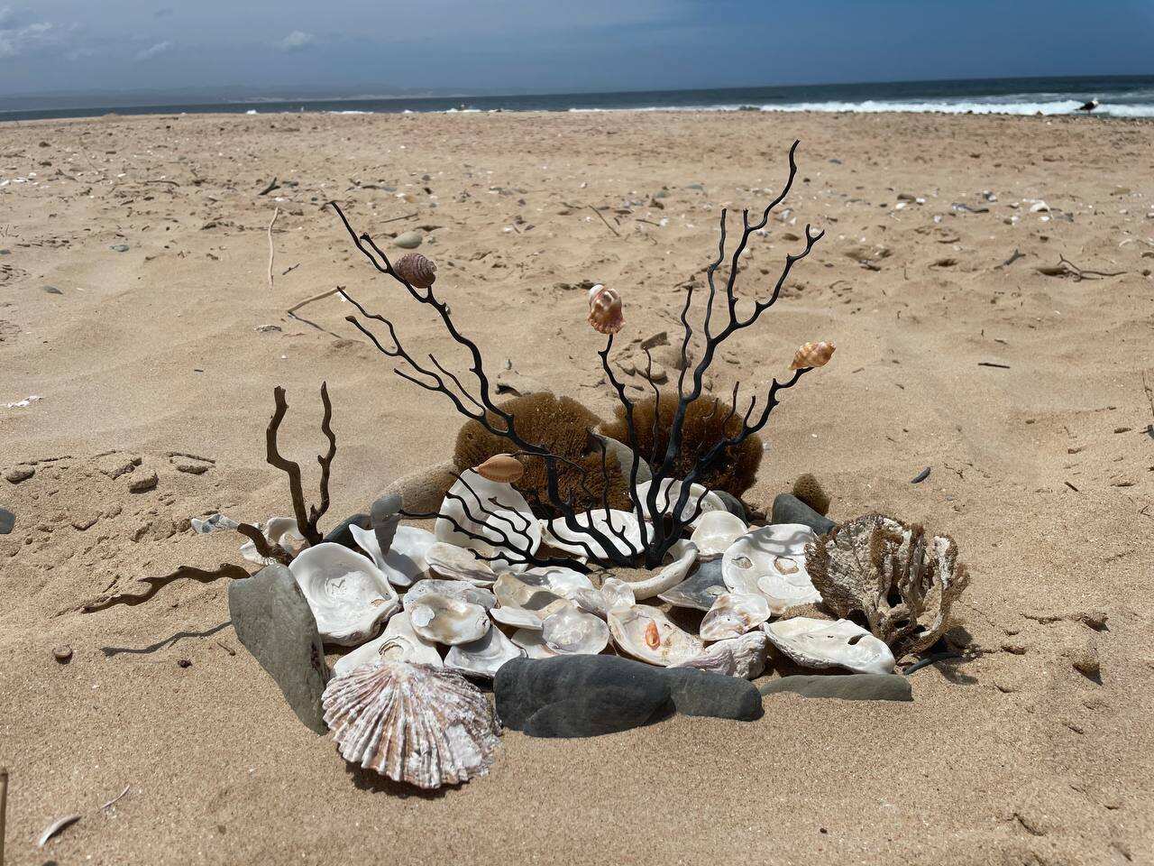 Мото-Trip По Юар: На Harley Davidson Вдоль Океана По Дороге Садов (20/59)