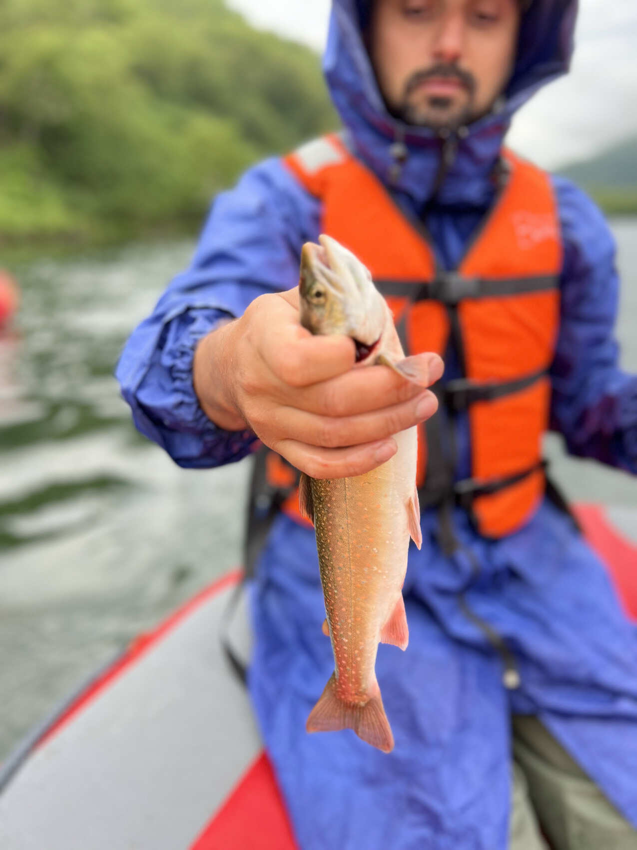 Камчатка От вулкана до океана (6/63)