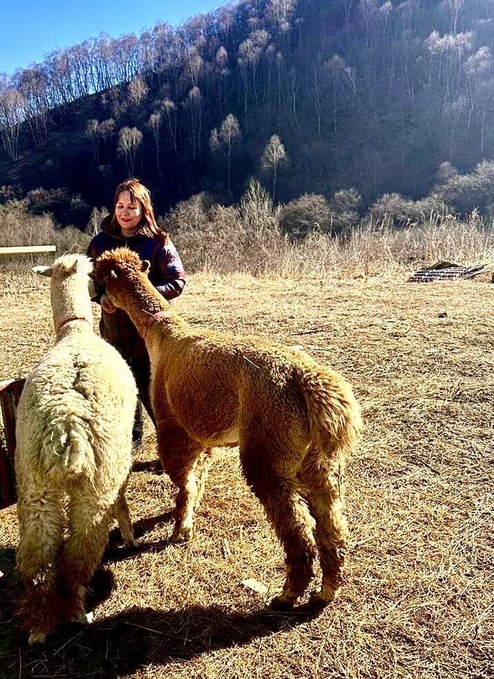 Индивидуальный джип тур в ущелье Хасаут (8/21)