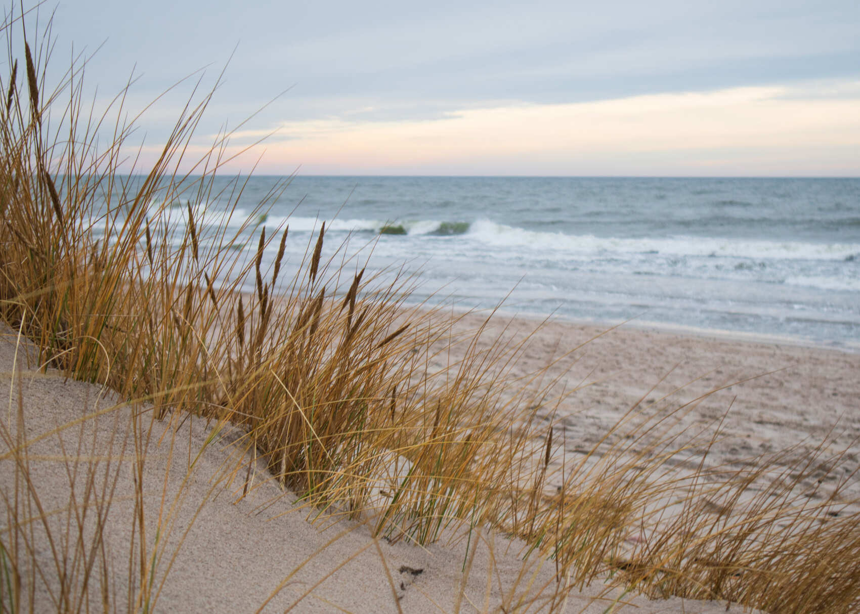 Необычный тур по Калининградской области (12/34)